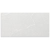 Hawthorn Light Grey Gloss Wall Tile 300x600