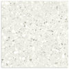 Terrazzo Rock White Matt 600x600